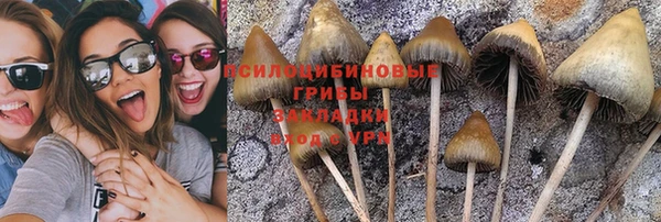 мяу мяу мука Армянск